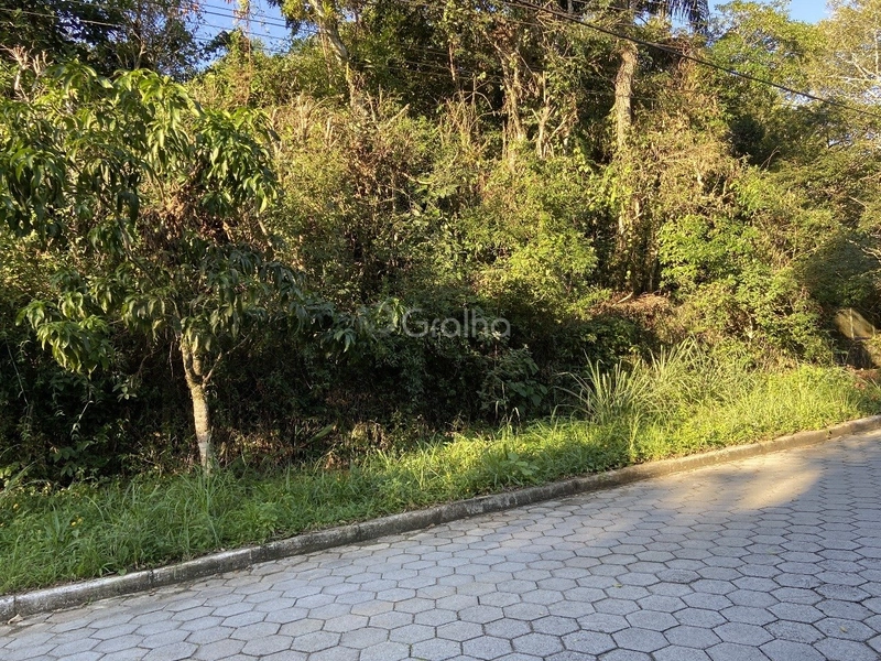 null: 11ª foto da galeria de imagens do imóvel