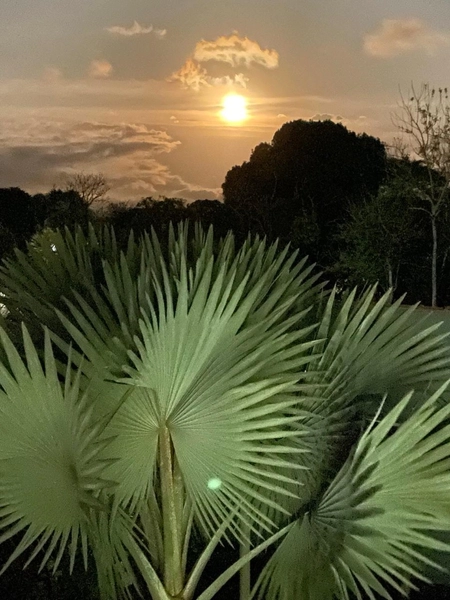 Chácara à venda – Represa – Represa de Bragança Paulista/SP: 31ª foto da galeria de imagens do imóvel