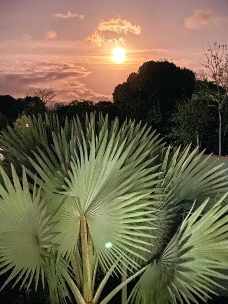 Chácara à venda – Represa – Represa de Bragança Paulista/SP: 45ª foto da galeria de imagens do imóvel