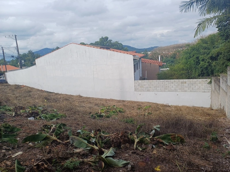Terreno Residencial das Ilhas: 5ª foto da galeria de imagens do imóvel