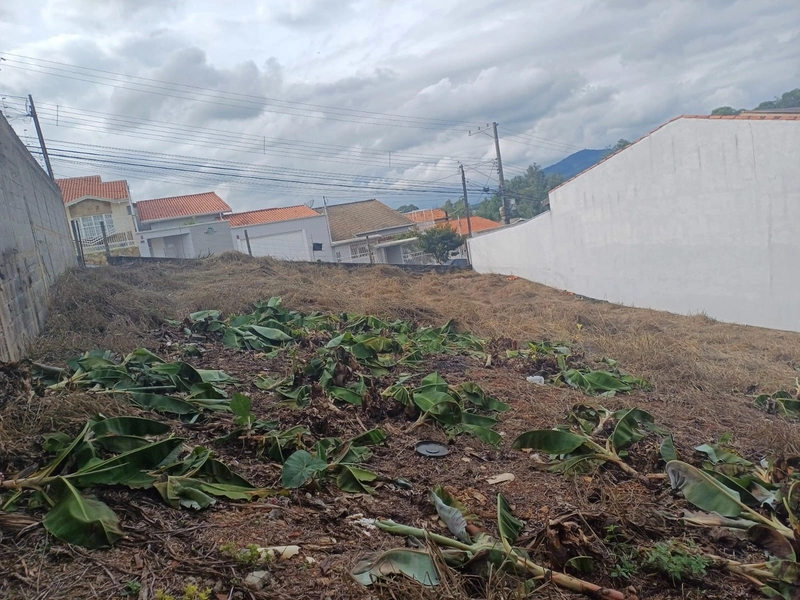 Terreno Residencial das Ilhas: 6ª foto da galeria de imagens do imóvel
