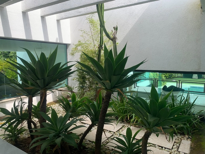 Casa à venda – Condomínio Rosário de Fátima – Bragança Paulista/SP: 13ª foto da galeria de imagens do imóvel