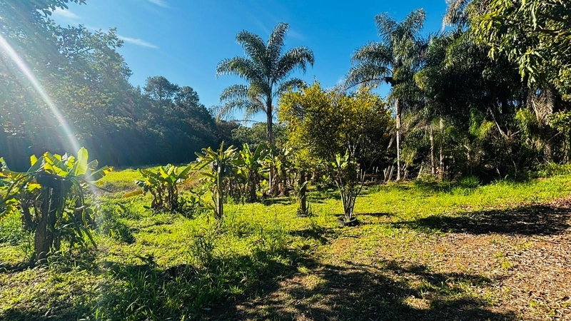 Chácara à venda – Campo Novo – Bragança Paulista/SP: 15ª foto da galeria de imagens do imóvel