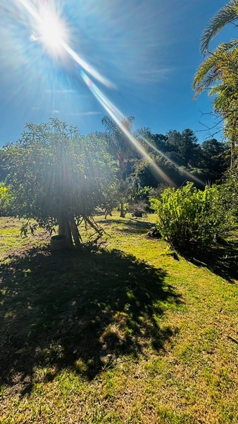 Chácara à venda – Campo Novo – Bragança Paulista/SP: 8ª foto da galeria de imagens do imóvel