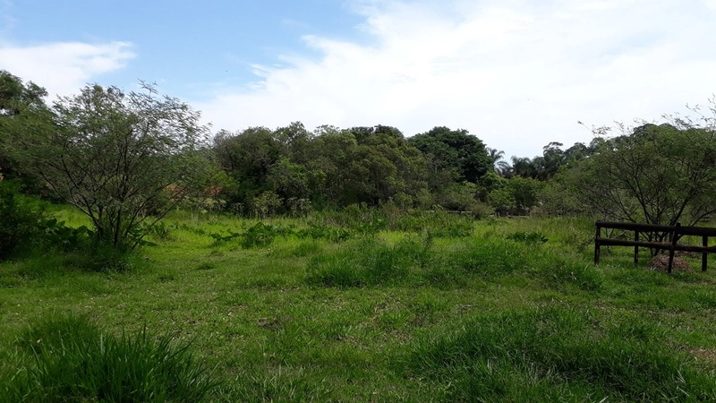 Propriedade Rural à Venda – Bairro Passa Três - Tuiuti/SP: 7ª foto da galeria de imagens do imóvel