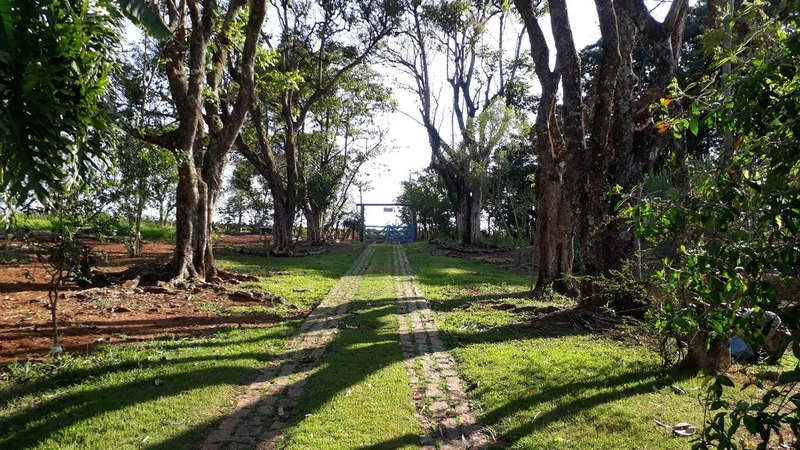 Propriedade Rural à Venda – Bairro Passa Três - Tuiuti/SP: 9ª foto da galeria de imagens do imóvel