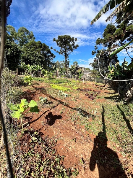 Chácara à venda – Penha – Bragança Paulista/SP: 18ª foto da galeria de imagens do imóvel