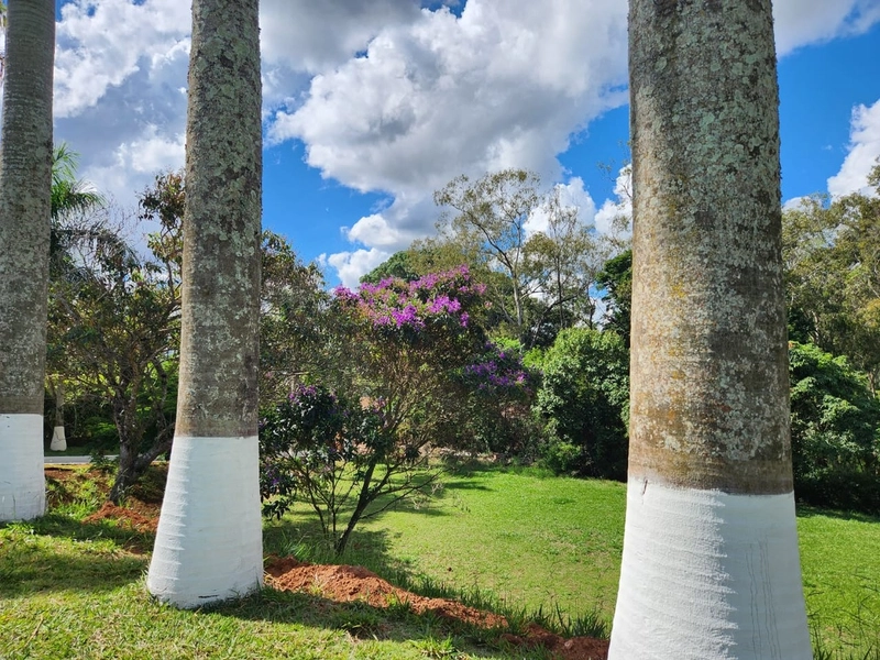 Chácara à venda – Chácaras Fernão Dias – Bragança Paulista/SP: 22ª foto da galeria de imagens do imóvel