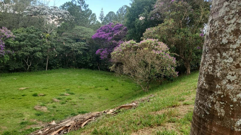 Chácara à venda – Chácaras Fernão Dias – Bragança Paulista/SP: 5ª foto da galeria de imagens do imóvel