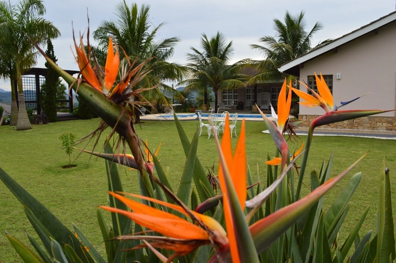 Casa Térrea Mobiliada à Venda no Jardim das Palmeiras: 4ª foto da galeria de imagens do imóvel