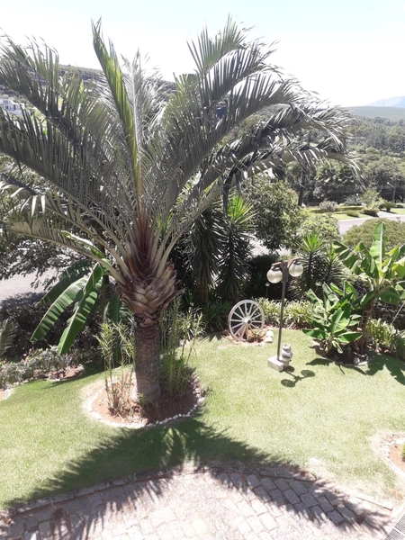 Casa à venda – Condomínio Jardim das Palmeiras – Bragança Paulista/SP: 10ª foto da galeria de imagens do imóvel
