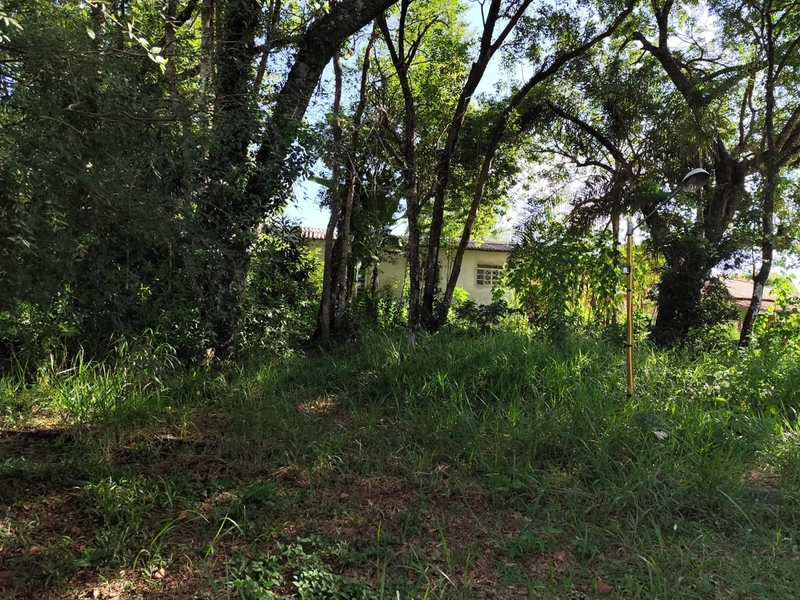 Chácara à venda – Bairro do Couto – Bragança Paulista/SP: 1ª foto da galeria de imagens do imóvel
