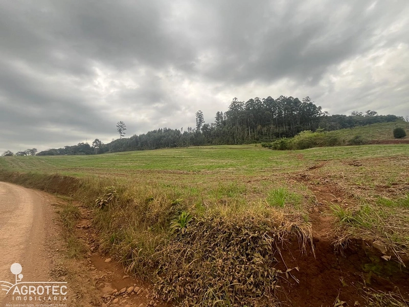 Excelente área para indústria ou loteamento.: 3ª foto da galeria de imagens do imóvel