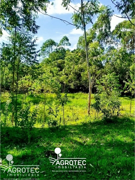 chácara, sitio: 2ª foto da galeria de imagens do imóvel