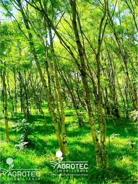 chácara, sitio: 5ª foto da galeria de imagens do imóvel