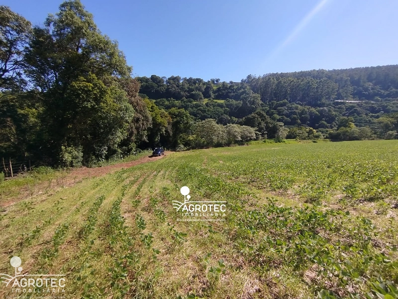 Propriedade Rural completa, Ideal para quem busca produção e investimento. : 5ª foto da galeria de imagens do imóvel