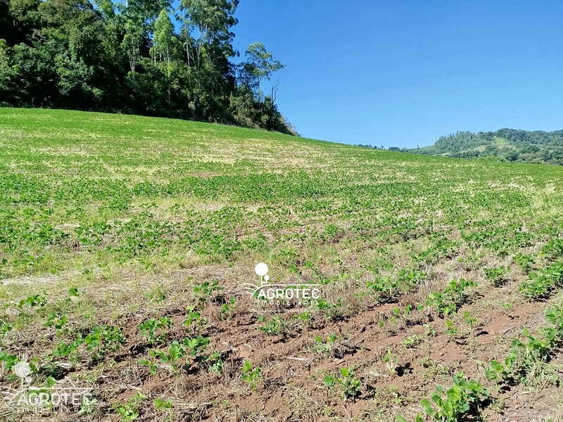 Propriedade Rural completa, Ideal para quem busca produção e investimento. : 6ª foto da galeria de imagens do imóvel