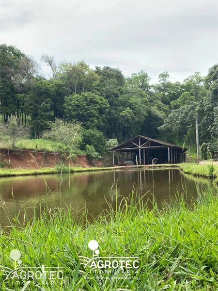 chácara, sitio: 3ª foto da galeria de imagens do imóvel