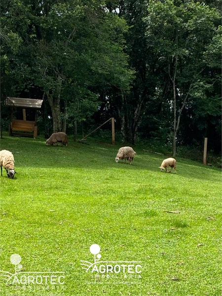 chácara, sitio: 6ª foto da galeria de imagens do imóvel