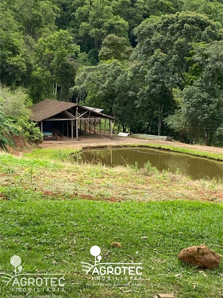 chácara, sitio: 7ª foto da galeria de imagens do imóvel