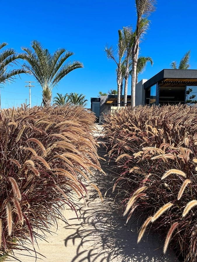 25ª foto do condomínio