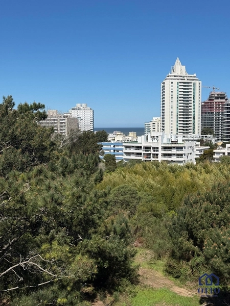 APARTAMENTO EM PUNTA DEL ESTE: 15ª foto da galeria de imagens do imóvel