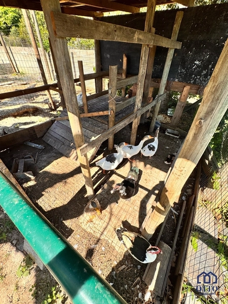SÍTIO NA VARGEM PEQUENA, COM PISCINA, SAUNA, QUADRA ELAGO.: 33ª foto da galeria de imagens do imóvel
