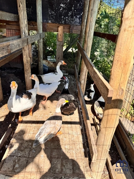 SÍTIO NA VARGEM PEQUENA, COM PISCINA, SAUNA, QUADRA ELAGO.: 82ª foto da galeria de imagens do imóvel