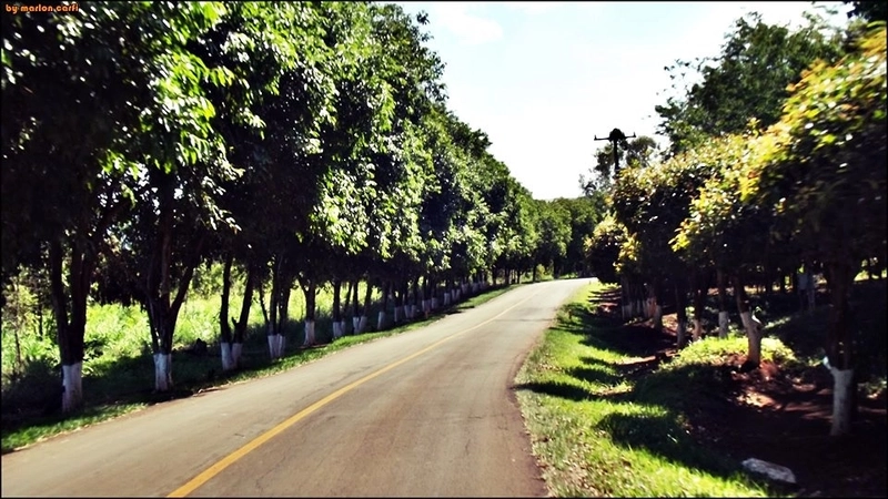 OPORTUNIDADE -Lote molhado Condomínio Riviera do Poente: 2ª foto da galeria de imagens do imóvel