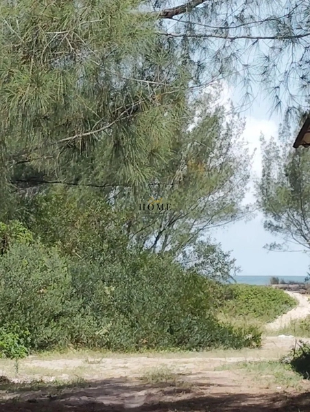 Casa na beira mar de Capão Novo: 2ª foto da galeria de imagens do imóvel