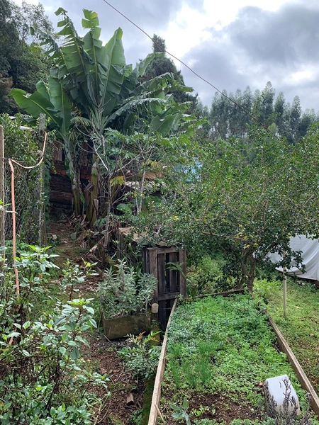 Casa à venda em Novo Hamburgo aceita permuta por casa no Litoral: 19ª foto da galeria de imagens do imóvel