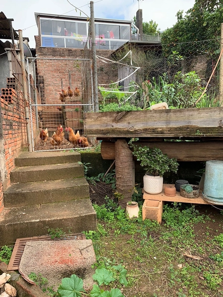 Casa à venda em Novo Hamburgo aceita permuta por casa no Litoral: 18ª foto da galeria de imagens do imóvel