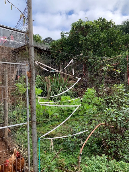 Casa à venda em Novo Hamburgo aceita permuta por casa no Litoral: 10ª foto da galeria de imagens do imóvel