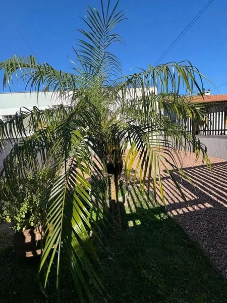 Casa à venda no centro de Xangri-lá: 6ª foto da galeria de imagens do imóvel