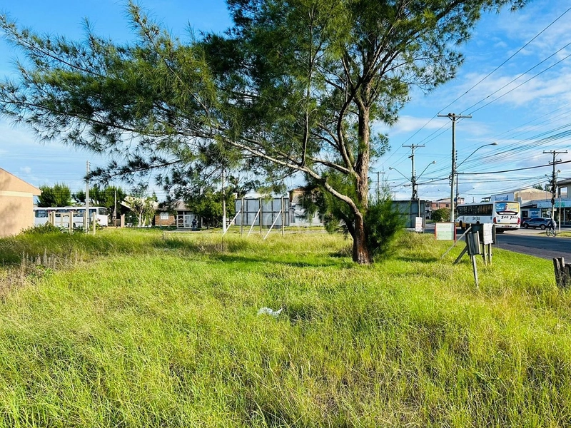 Terreno à venda: 2ª foto da galeria de imagens do imóvel