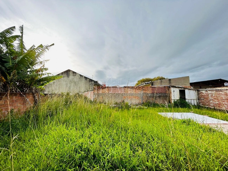 Terreno à venda em Avenida: 1ª foto da galeria de imagens do imóvel