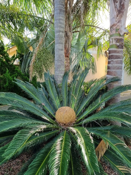 Casa à venda em Imbé - Centro: 19ª foto da galeria de imagens do imóvel