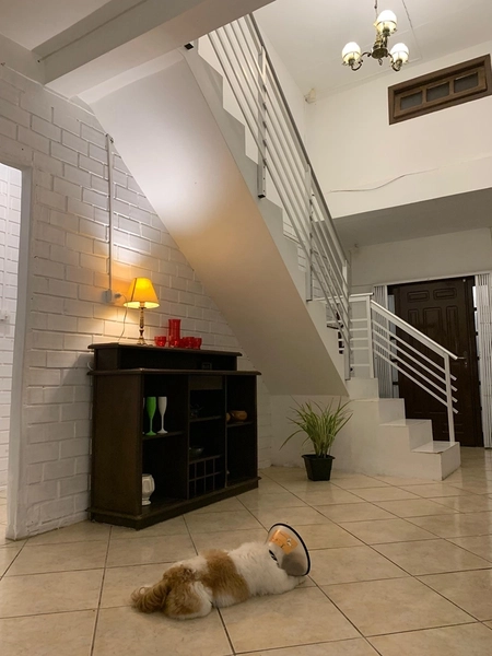 Casa à venda em Imbé - Balneário Albatroz : 10ª foto da galeria de imagens do imóvel