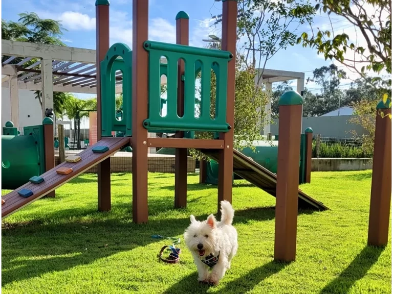 CASA COM 3 DORMITÓRIOS NO MURANO : 27ª foto da galeria de imagens do imóvel