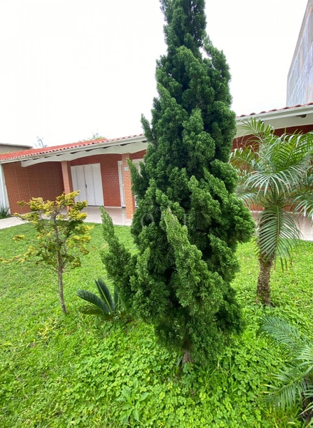 Casa à venda, próximo ao mar: 1ª foto da galeria de imagens do imóvel