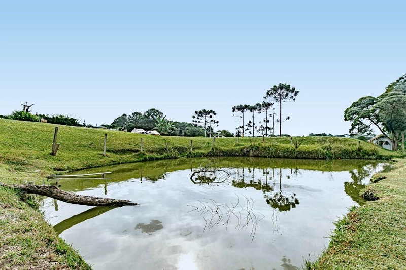 null: 50ª foto da galeria de imagens do imóvel