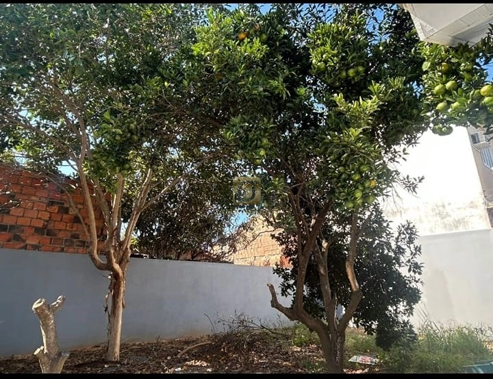 Casa a venda em Cachoeirinha: 18ª foto da galeria de imagens do imóvel