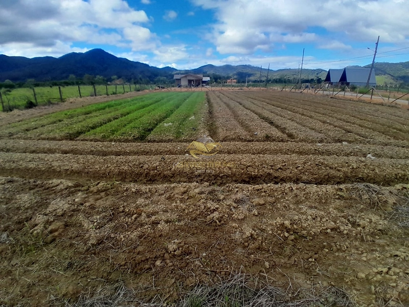 null: 3ª foto da galeria de imagens do imóvel