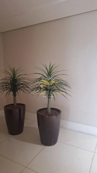 null: 5ª foto da galeria de imagens do imóvel