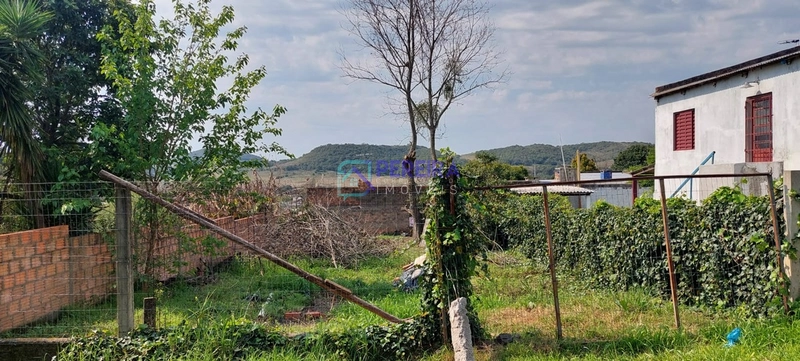 Terreno próximo a Caixa D Água do Wilson : 3ª foto da galeria de imagens do imóvel