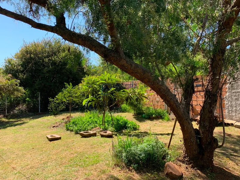 Casa que parece uma chácara: 4ª foto da galeria de imagens do imóvel