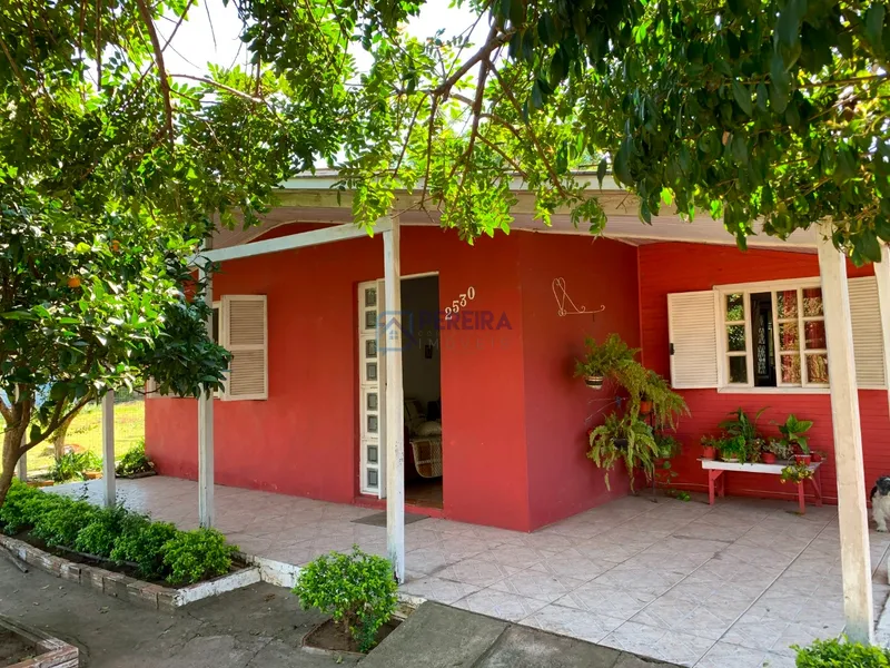 Casa que parece uma chácara: 2ª foto da galeria de imagens do imóvel