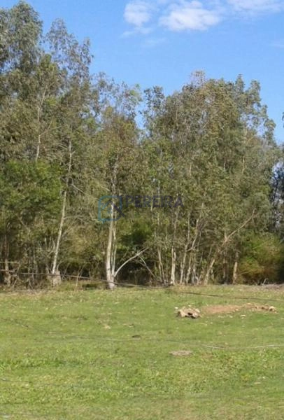 Terreno amplo: 2ª foto da galeria de imagens do imóvel