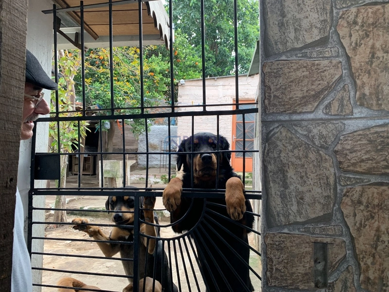 Casa de 02 dormitórios na Divisa.: 21ª foto da galeria de imagens do imóvel