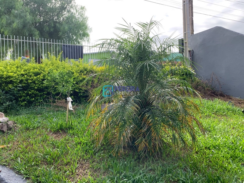 Casa de 03 dormitórios no Prado.: 3ª foto da galeria de imagens do imóvel